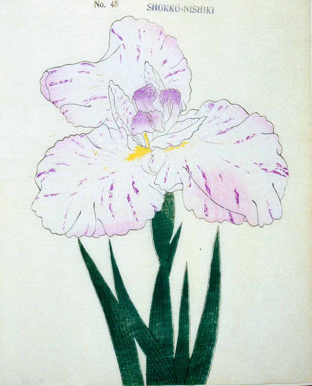 Shokko-Nishiki，第48期，1898年 作者 日本学校