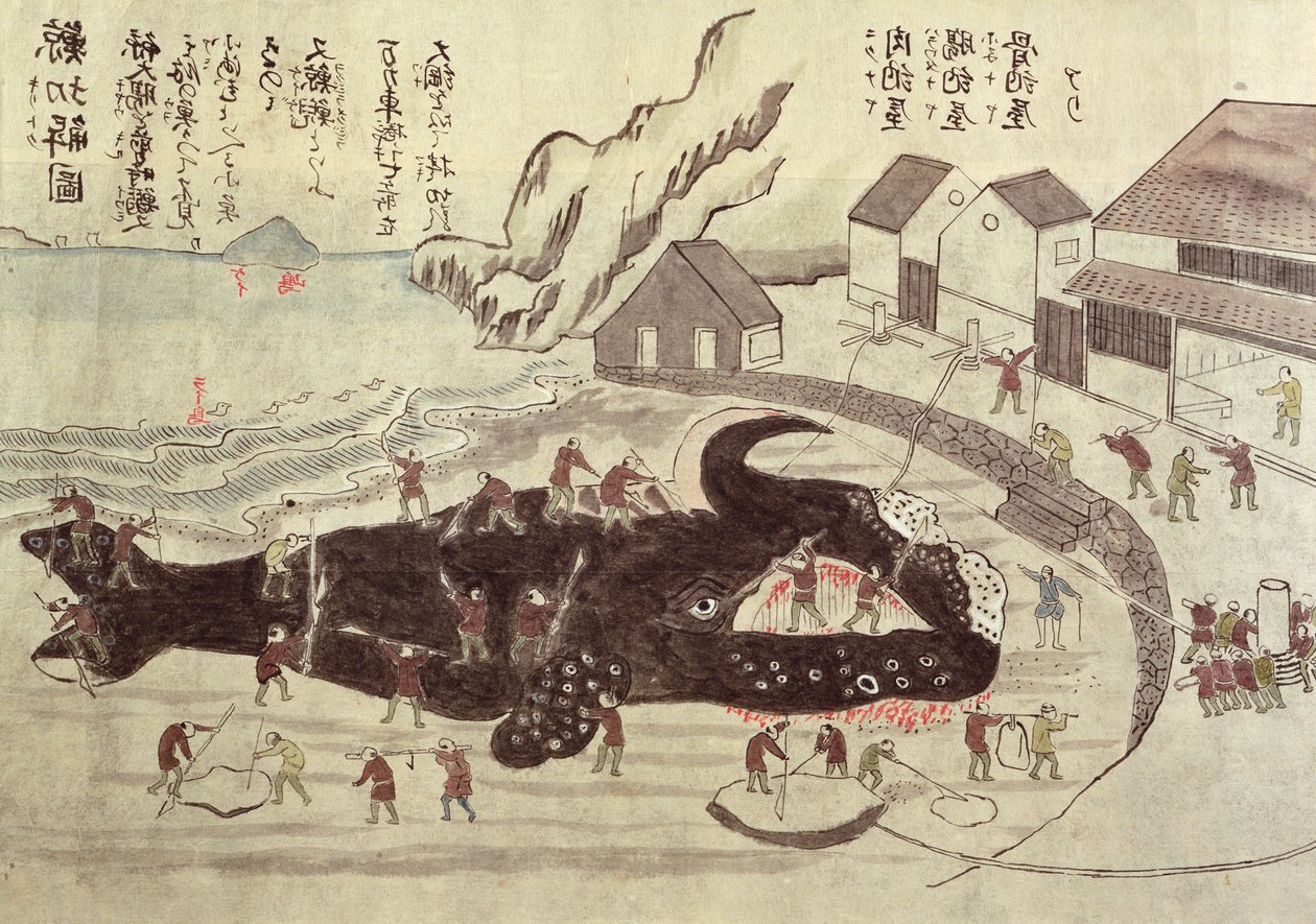 鲸鱼的连接，19世纪末（彩色雕刻） 作者 日本学校