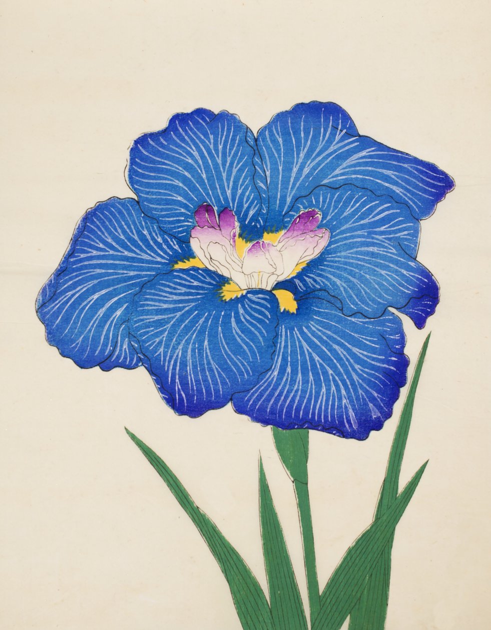 Ushio-no.-Kemuri，第47期，1898年 作者 日本学校