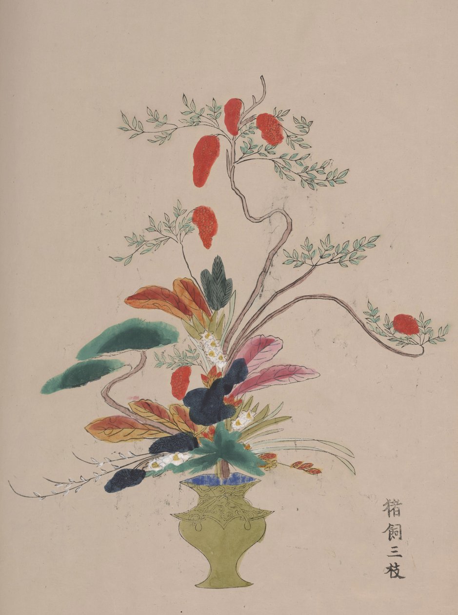 花卉水彩画的数量 作者 日本学校