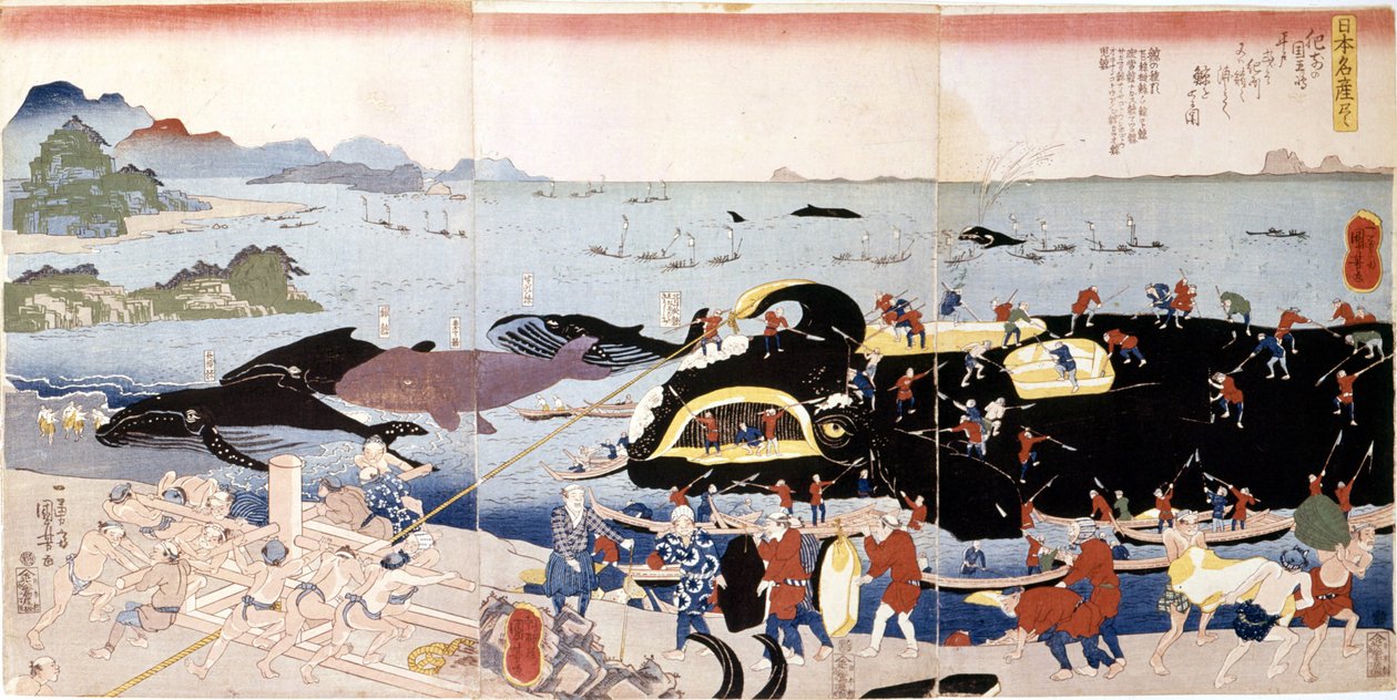 Whale fishing in Japan 作者 日本学校