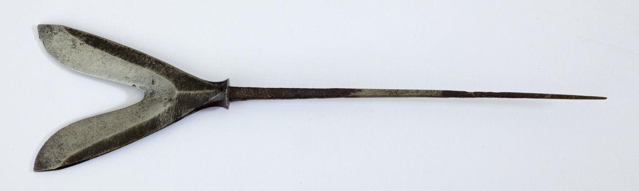 Karimata（分叉的