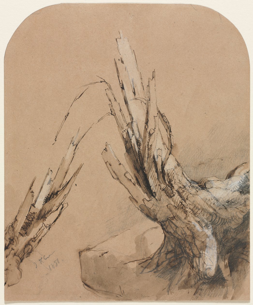 一棵被炸毁的树（正面） 平面图（背面） 作者 Jasper F. Cropsey