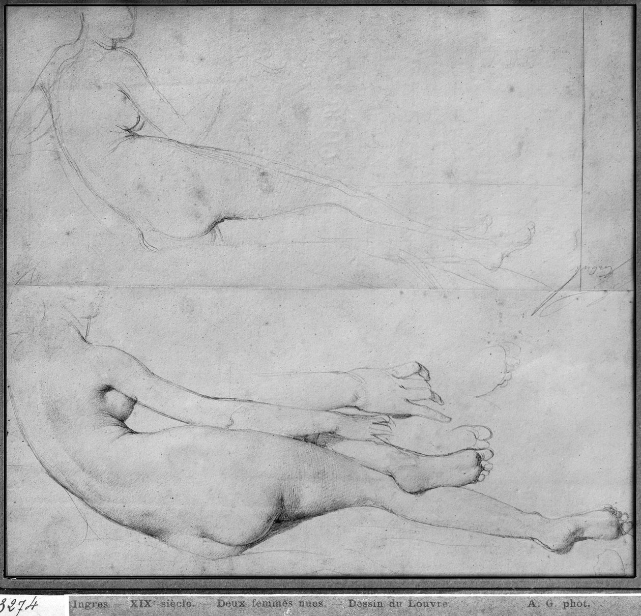 研究Grande Odalisque（纸上石墨）（另见233243） 作者 让·奥古斯特·多米尼克·英格里斯