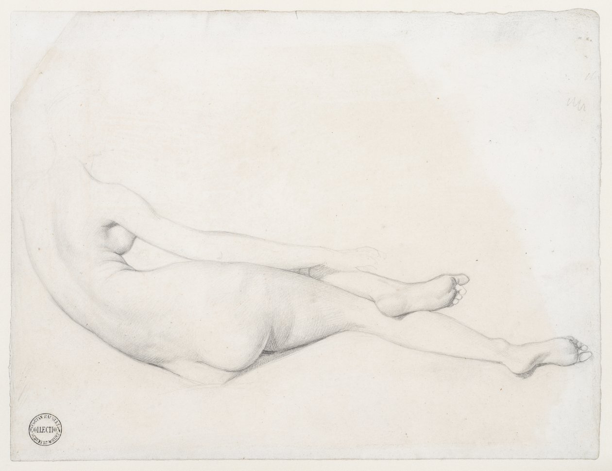 研究La Grande Odalisque，1814年（石墨在编织纸上） 作者 让·奥古斯特·多米尼克·英格里斯
