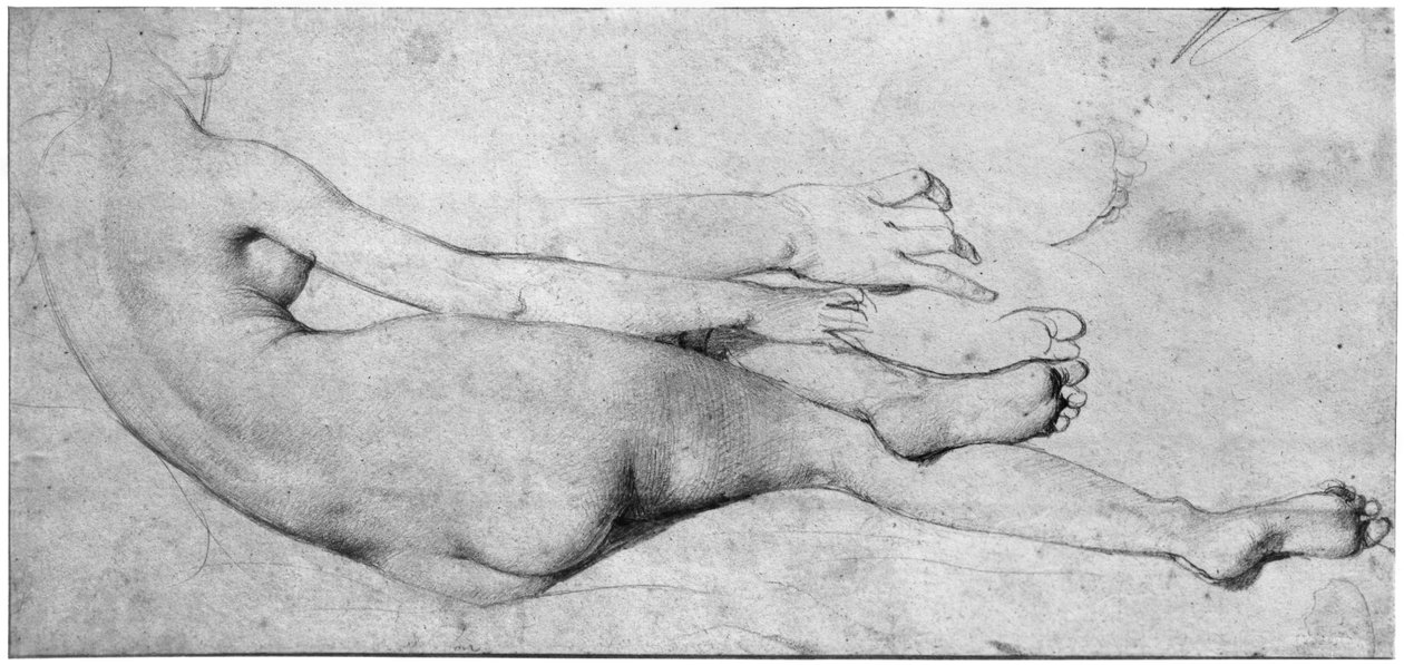 研究Grande Odalisque（纸上石墨）（另见233244） 作者 让·奥古斯特·多米尼克·英格里斯