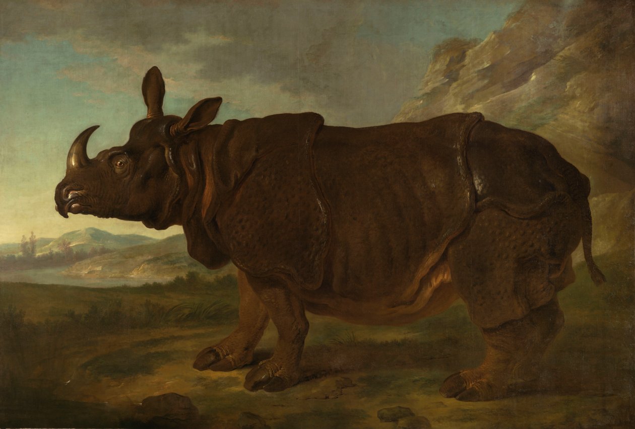 克拉拉1749年在巴黎的犀牛 作者 让·巴蒂斯特·奥德里（Jean Baptiste Oudry）