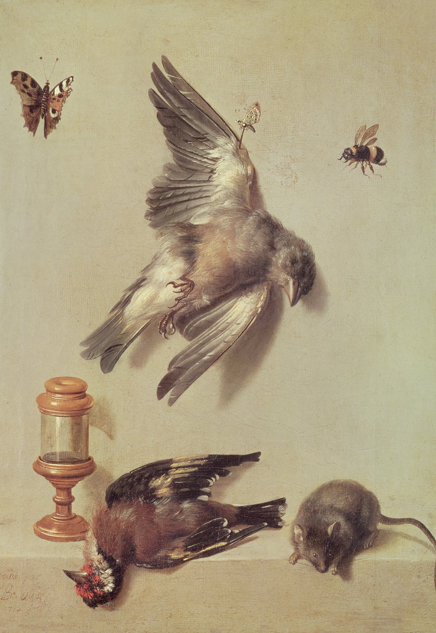 死鸟和老鼠的静物，1712年 作者 让·巴蒂斯特·奥德里（Jean Baptiste Oudry）