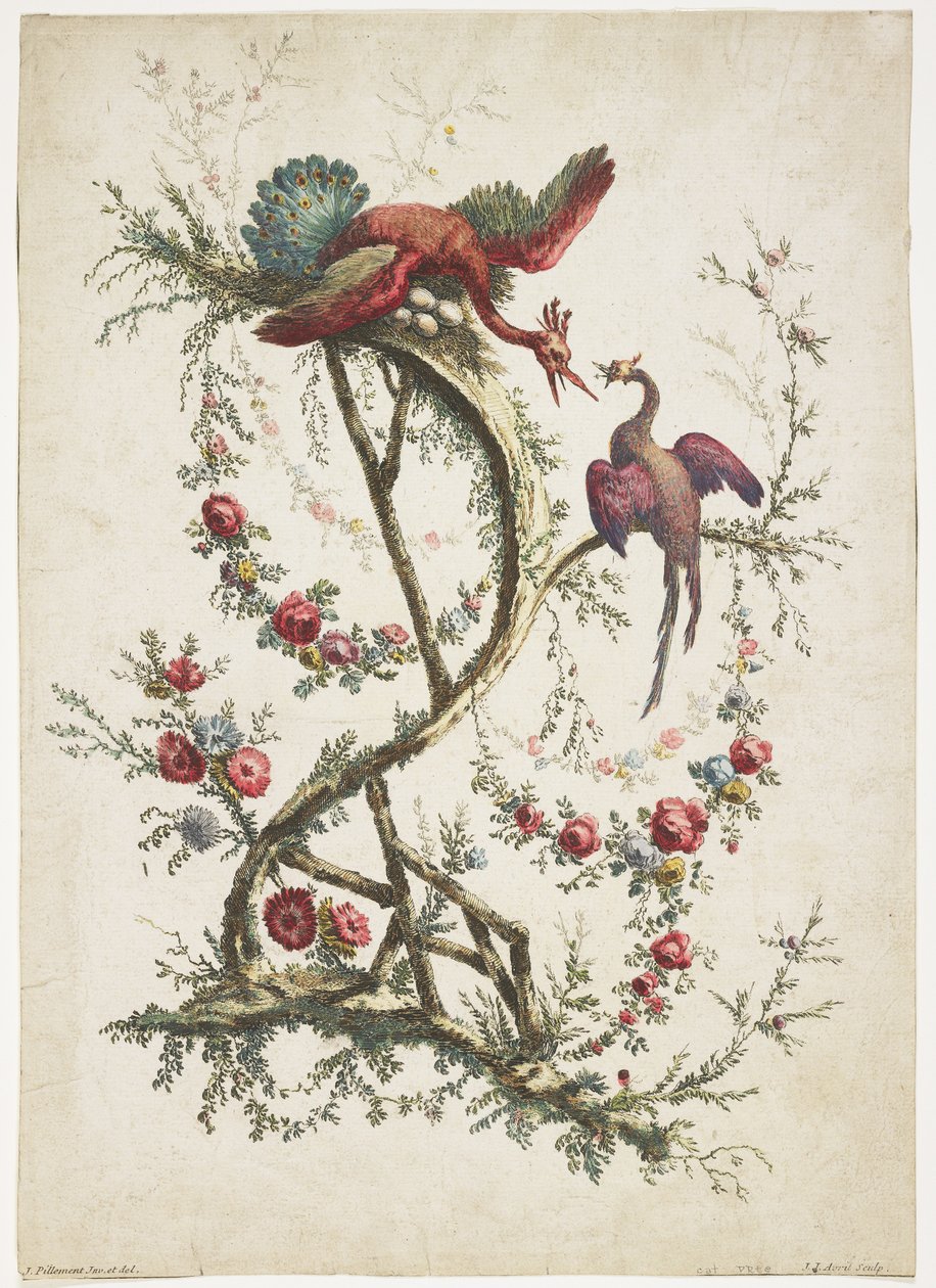 装饰。中国风。花鸟。，1770 作者 让·巴蒂斯特·皮列曼