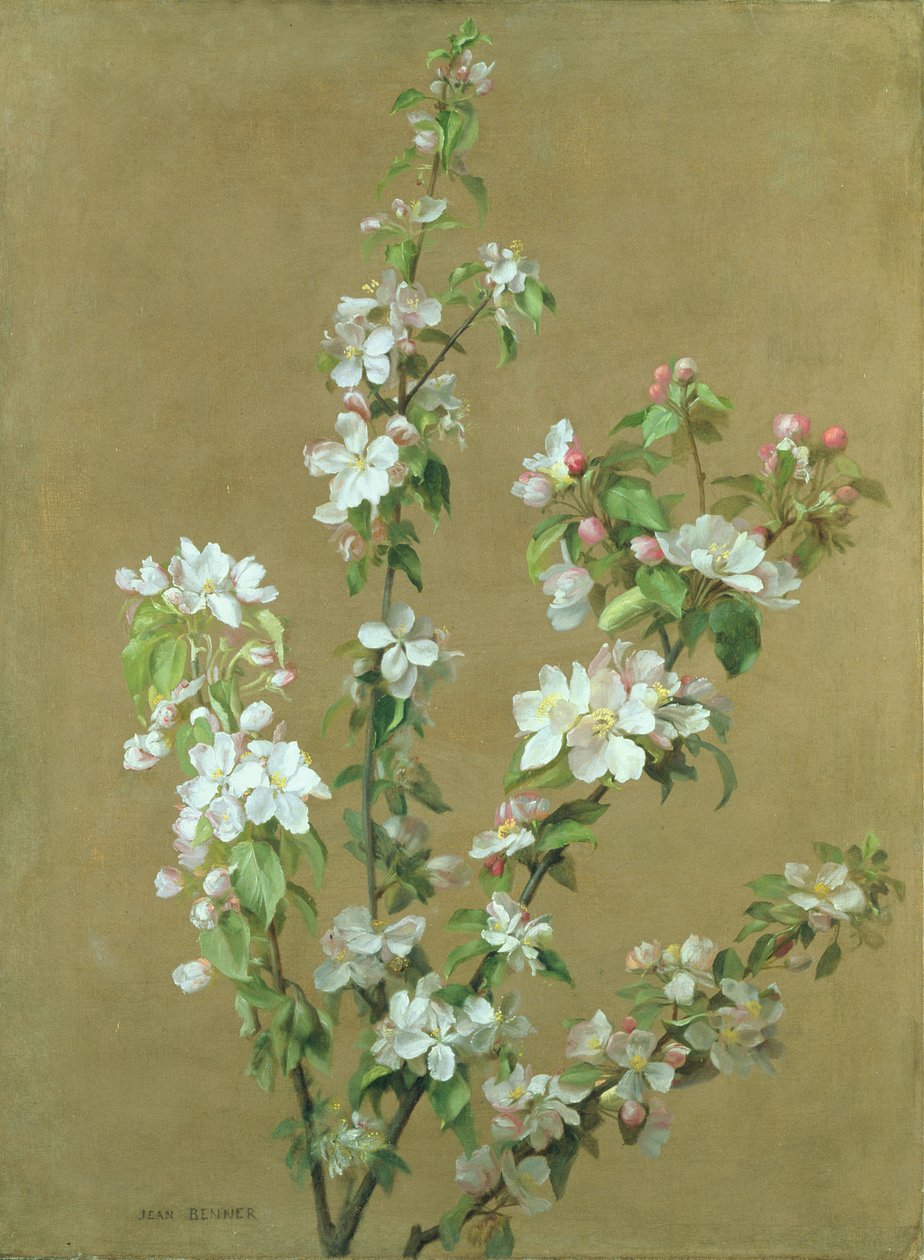 Apple Blossom 作者 让·本纳