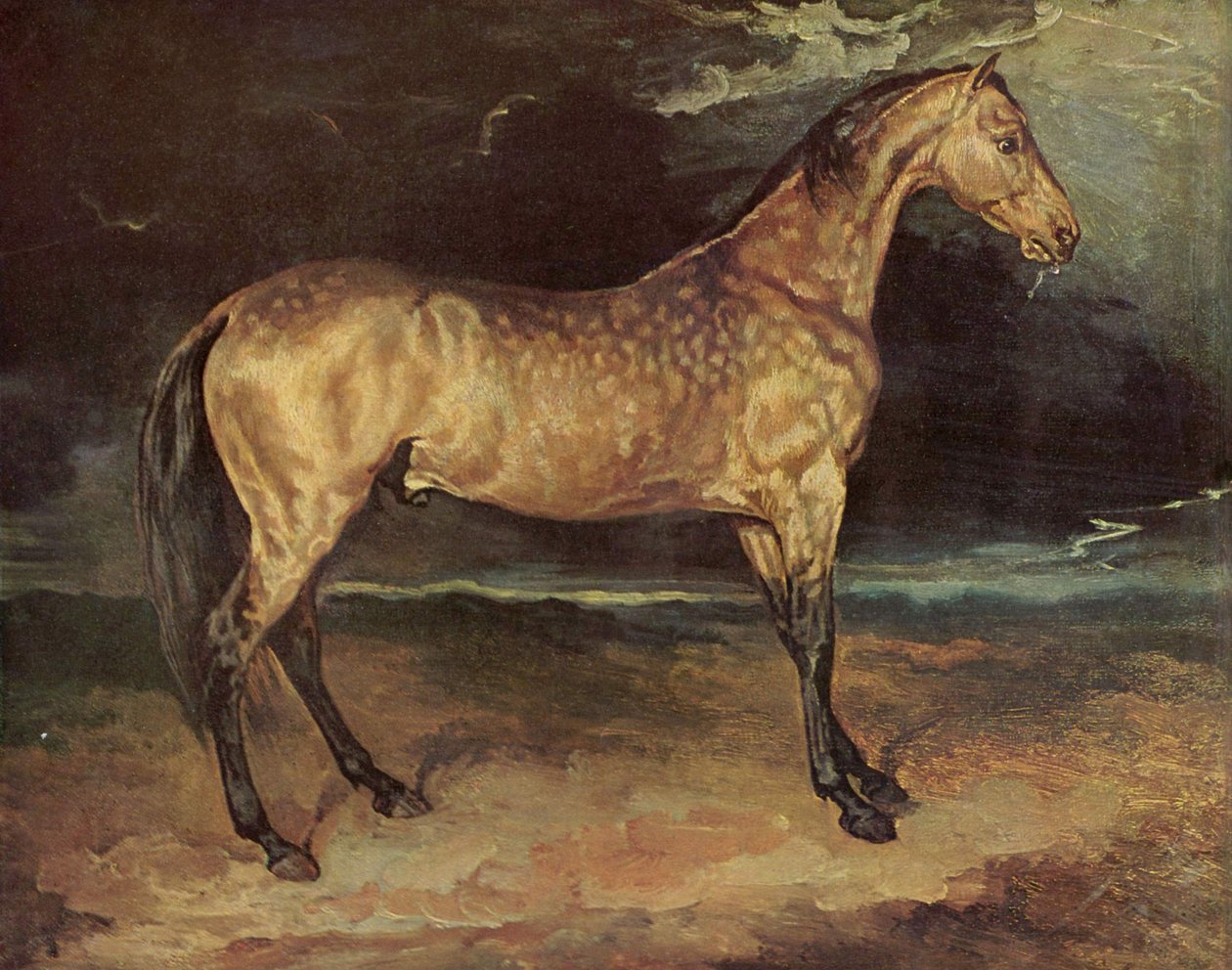 马在风暴中 作者 西奥多·杰里科（Theodore Gericault）