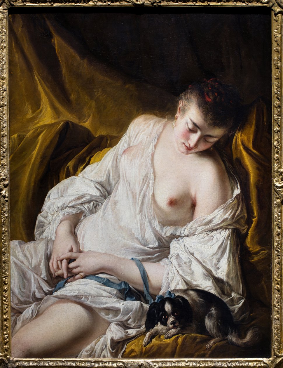 Une femme qui dort ou la Fidelite surveillante, v 作者 让·巴蒂斯特·德舍斯