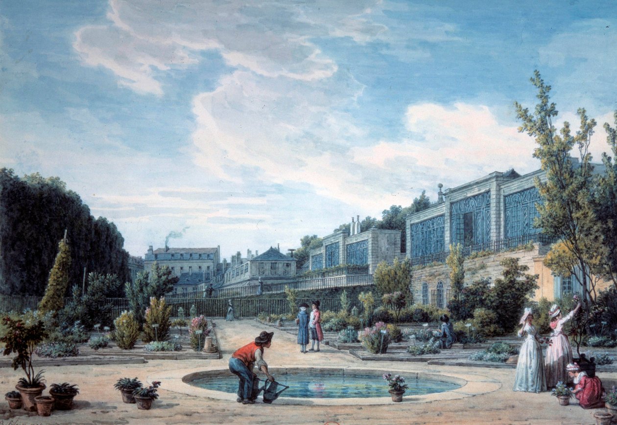 国王花园（现植物园）景观。让-巴蒂斯特-希莱尔（1753-1822 年）的石版画 1794 年，巴黎，B.N. 作者 让-巴蒂斯特·希莱尔