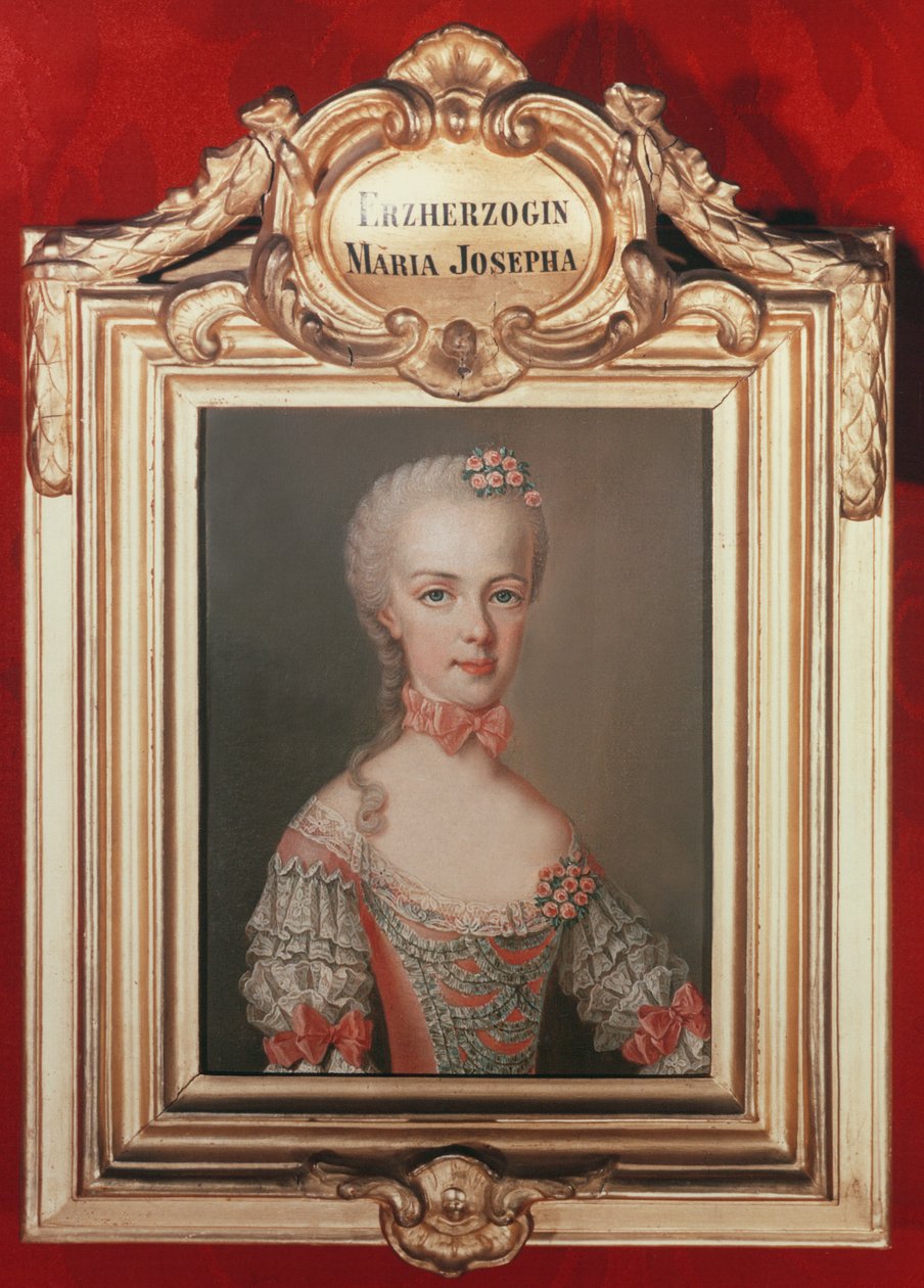 Archduchess Maria Josepha（1751-67），弗朗西斯一世的女儿和奥地利皇后玛丽亚特丽莎，1762年 作者 让·埃蒂安·利奥塔