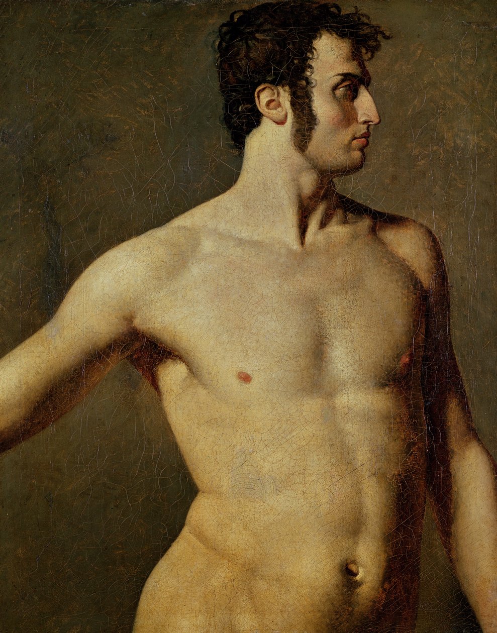 男性躯干，约1800年（布面油画） 作者 让·奥古斯特·多米尼克·英格里斯