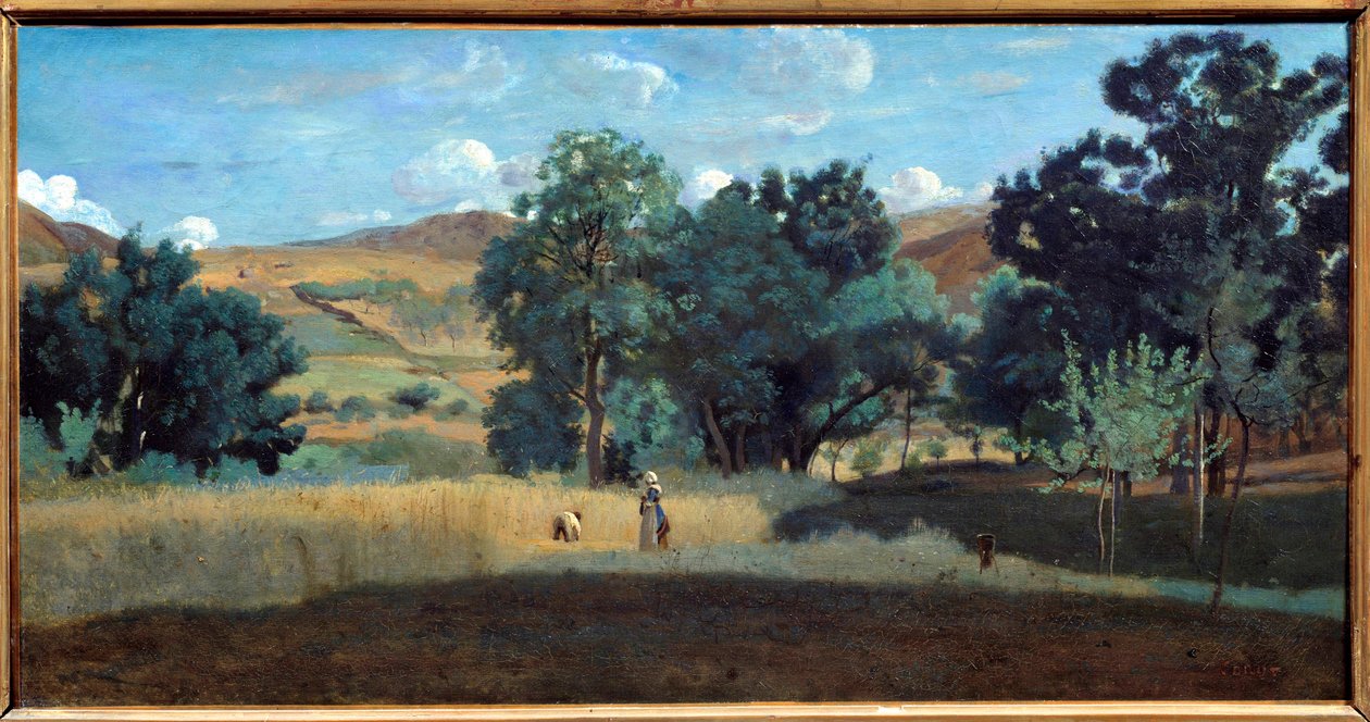 1842 年 Morvan 的一片麦田 Camille Corot (1796-1875) 作画，1842 年太阳。 0,38x0,75 m 里昂，Musee des Beaux Arts 作者 让·巴蒂斯特·卡米尔·科罗