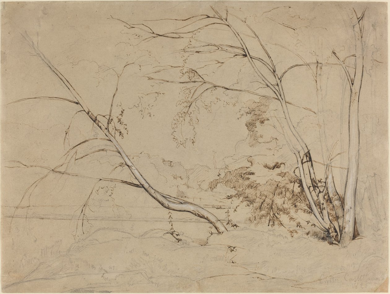 在Civita Castellana的树丛，1826年。 作者 让·巴蒂斯特·卡米尔·科罗