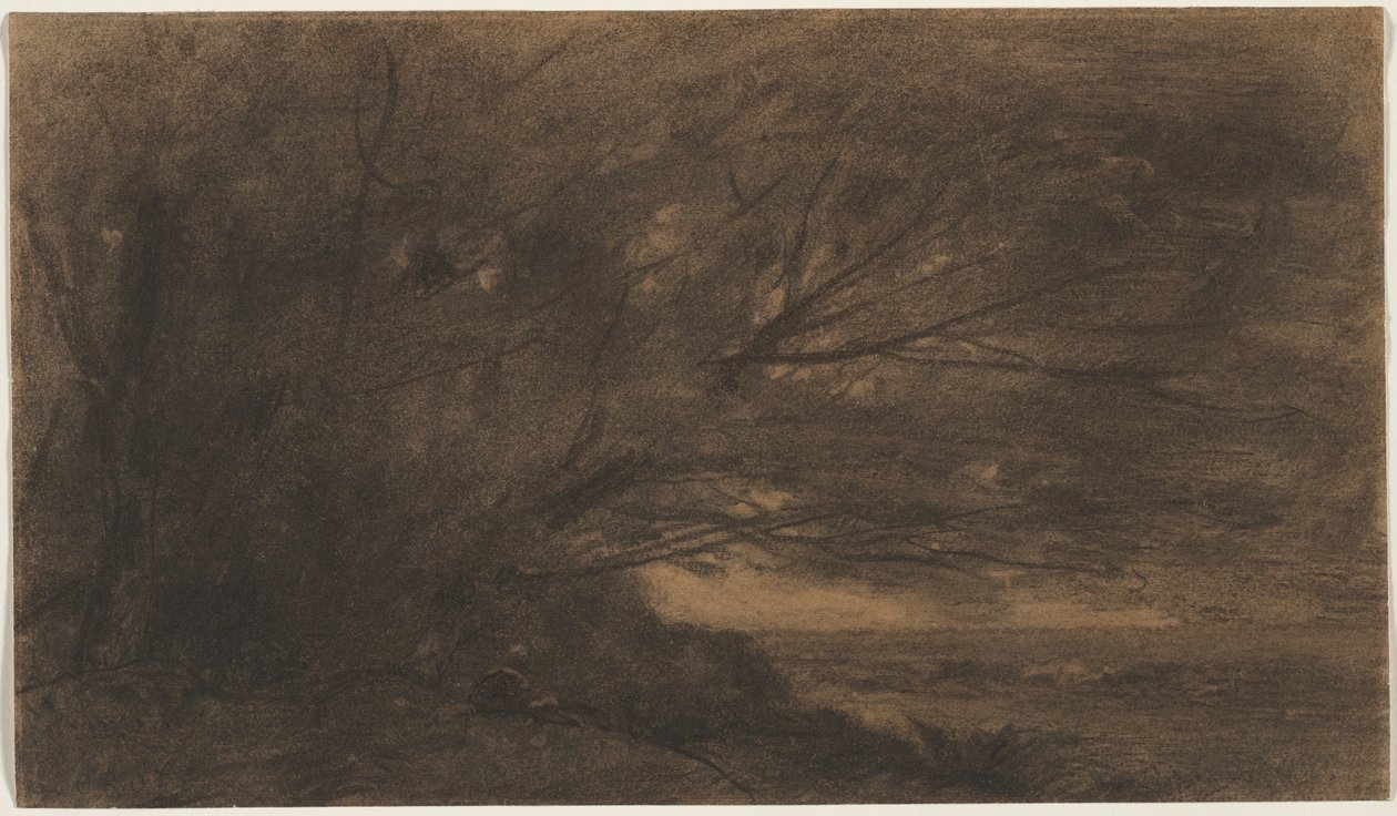 景观大树，c。 1865-1870年。 作者 让·巴蒂斯特·卡米尔·科罗