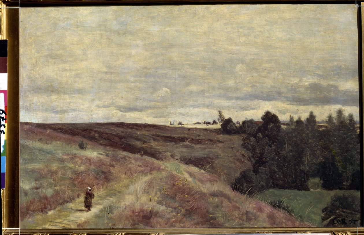 "Les collines couvertes de bruyeres pres de Vimoutiers en Normandie"（维穆蒂埃附近覆盖着石楠的山丘），卡米耶-柯罗（1796-1875 年）绘，约 1860 年 莫斯科普希金博物馆 作者 让·巴蒂斯特·卡米尔·科罗