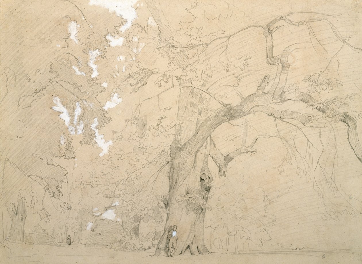 一棵大橡树前的年轻人，约 1840 年（纸上铅笔和水粉） 作者 让·巴蒂斯特·卡米尔·科罗