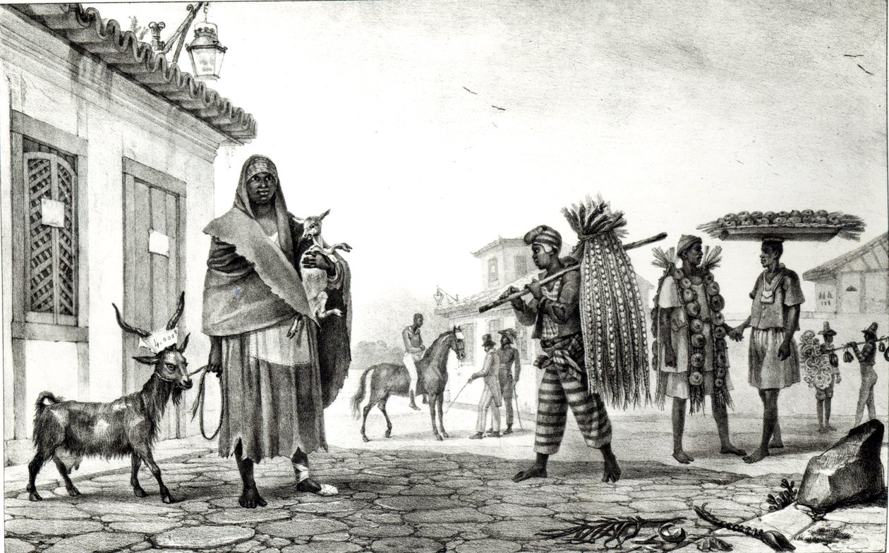房子出租，马和山羊出售，从&39;巴西的古雅和历史旅行&39;， 作者 让·巴蒂斯特·德布雷特