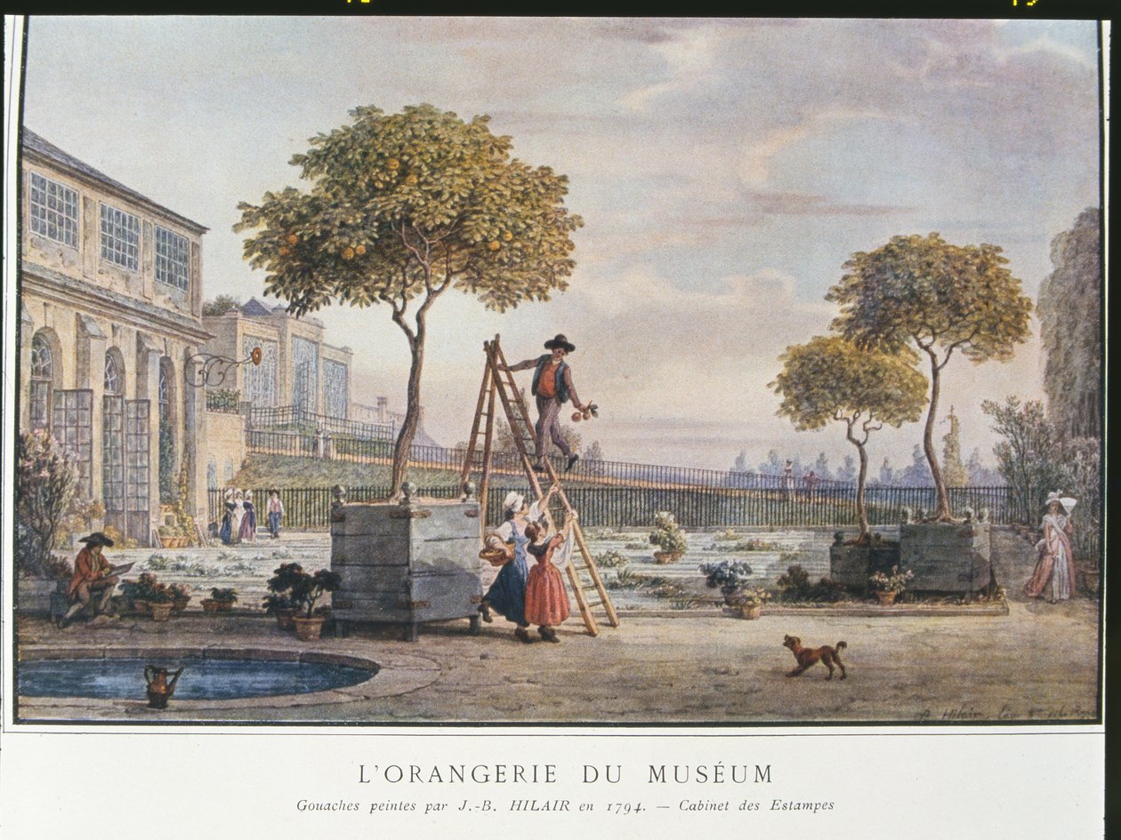 1794年在巴黎博物馆的橘园 作者 让·巴蒂斯特·希勒（Jean Baptiste Hilair）