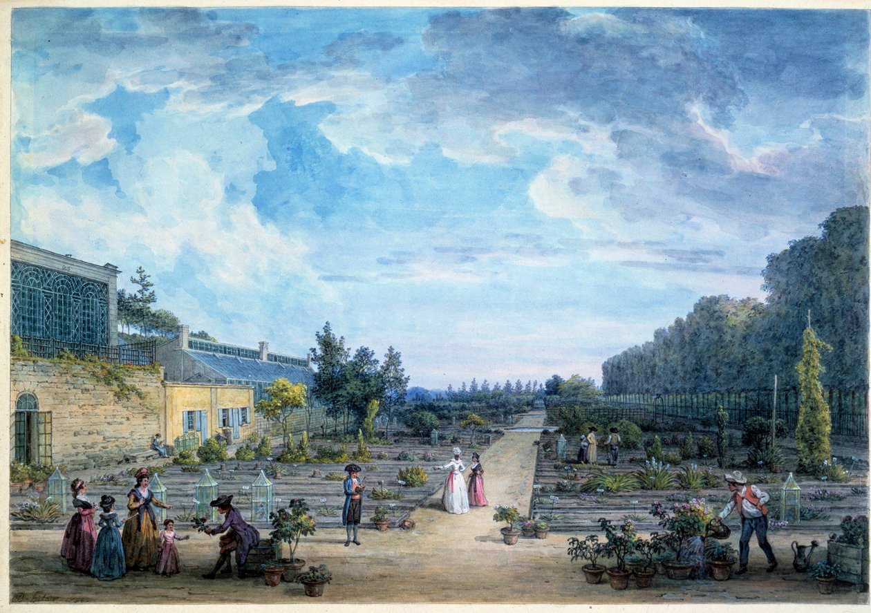 国王花园（现植物园）景色 让-巴蒂斯特-希莱尔（1753-1822 年）石版画 1794 年，巴黎，B.N. 作者 让-巴蒂斯特·希莱尔