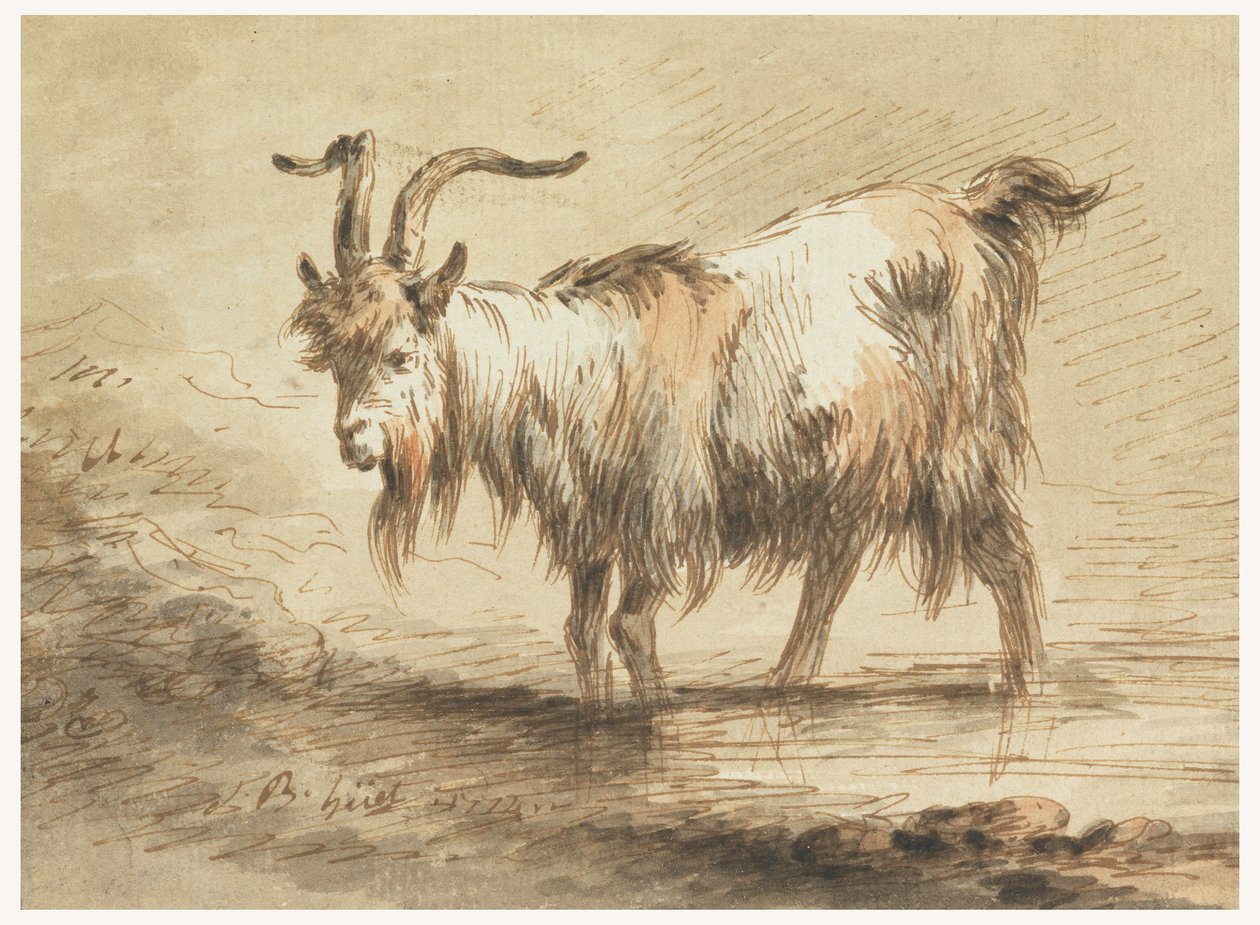 素描，山羊研究，1772 年 作者 让·巴蒂斯特·休特