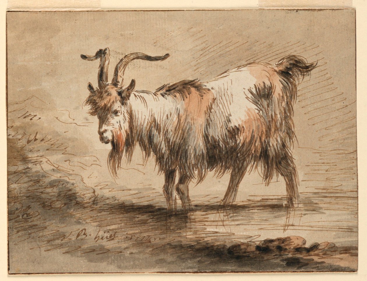 素描，山羊研究，1772 年 作者 让·巴蒂斯特·休特
