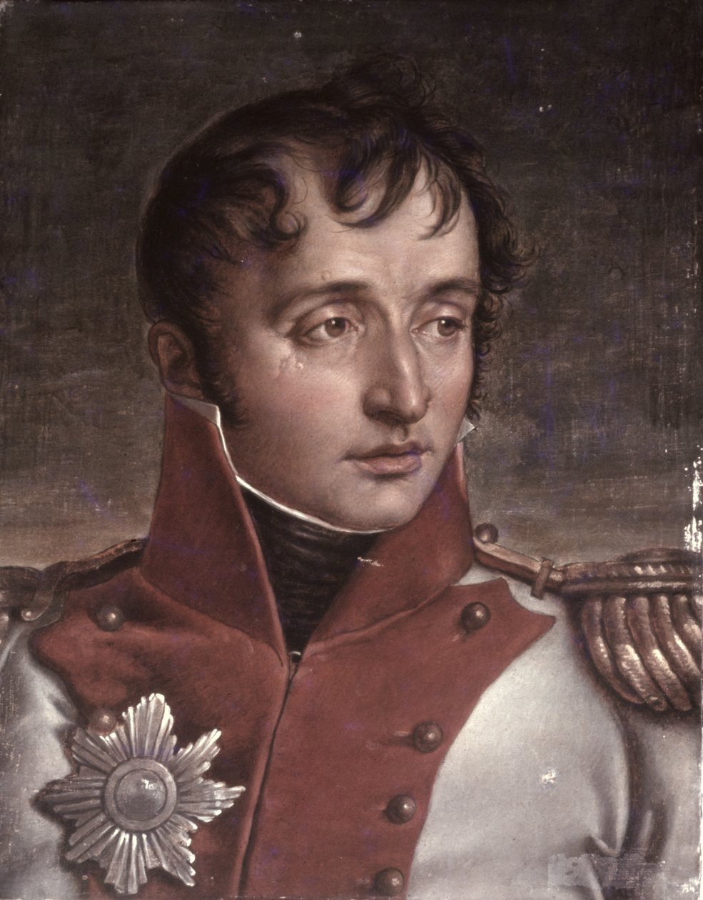 Louis Bonaparte（1778-1846）荷兰国王的肖像，c.1805-34 作者 让·巴蒂斯特·约瑟夫·维卡