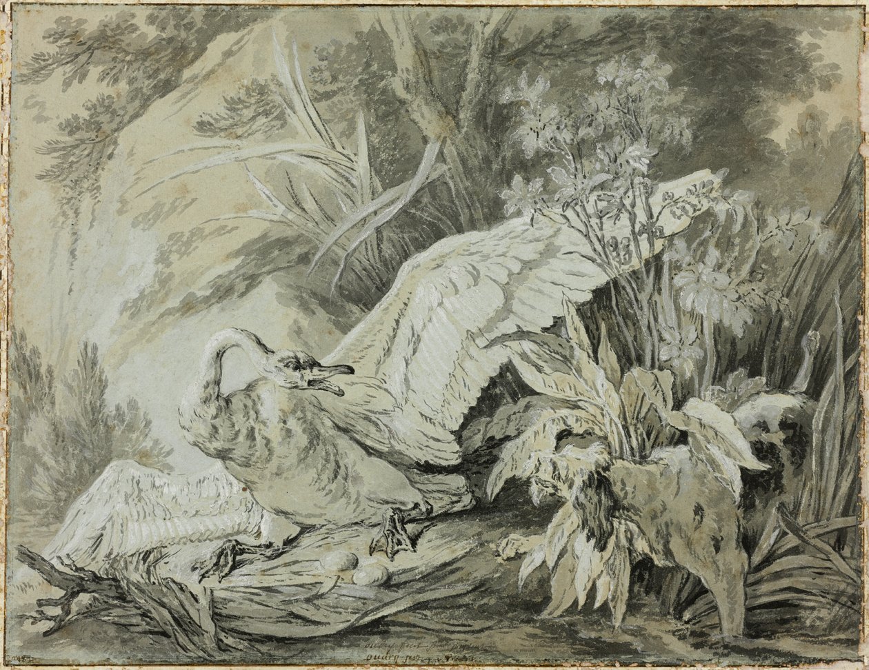 被狗袭击的野生天鹅 作者 让·巴蒂斯特·奥德里（Jean Baptiste Oudry）