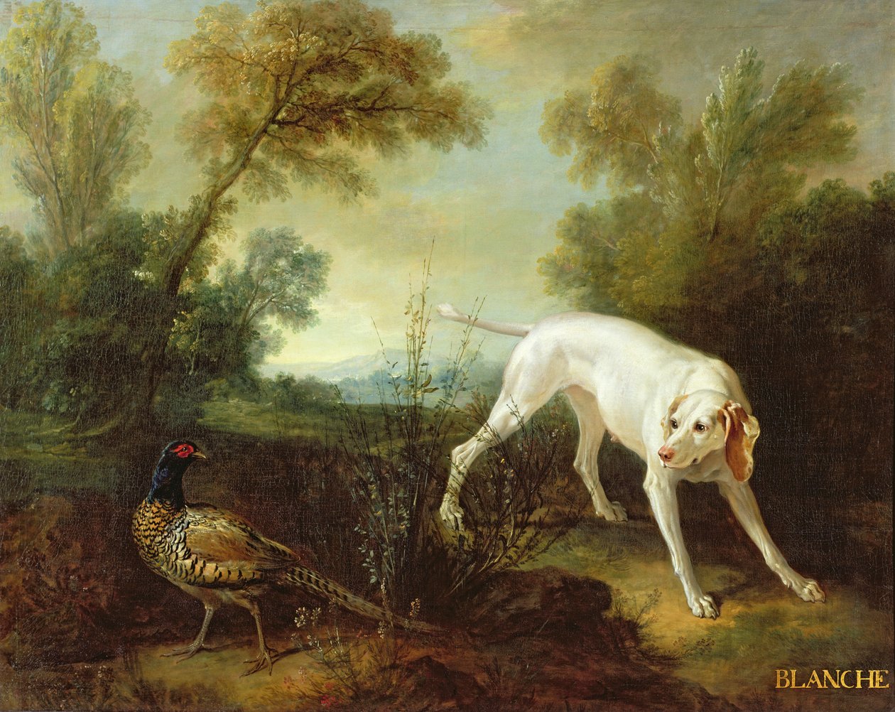 布兰奇，皇家狩猎包的婊子 作者 让·巴蒂斯特·奥德里（Jean Baptiste Oudry）