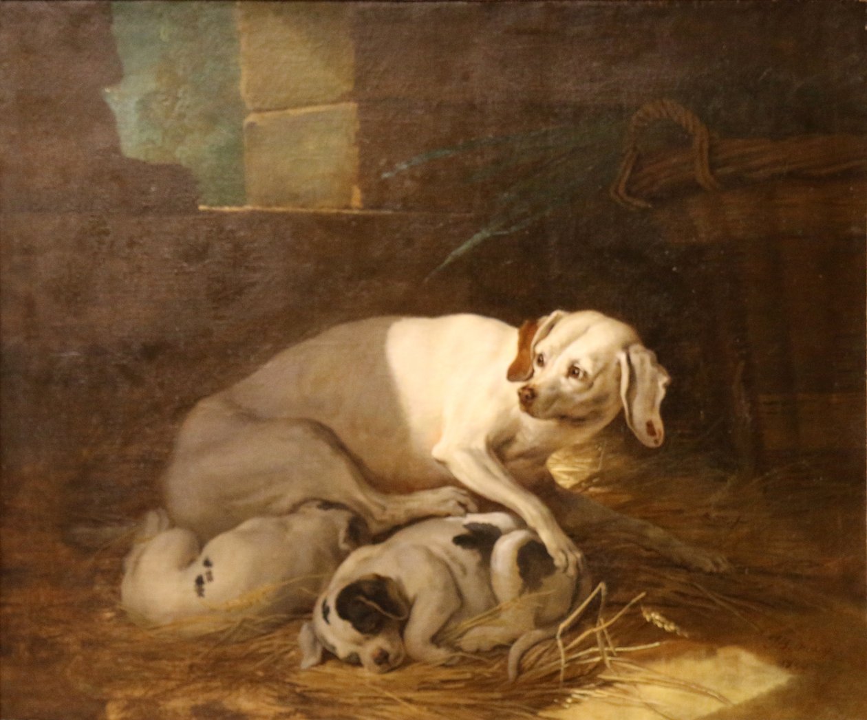 狗吮吸小狗 作者 让·巴蒂斯特·奥德里（Jean Baptiste Oudry）