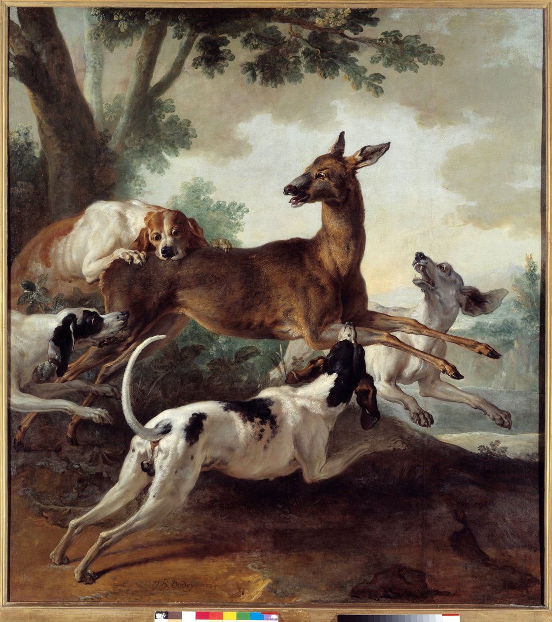 鹿被狗追。 狩猎场景。 让·巴蒂斯特·乌德里 (Jean Baptiste Oudry) 的绘画 (1686-1755) 作者 让·巴蒂斯特·奥德里（Jean Baptiste Oudry）