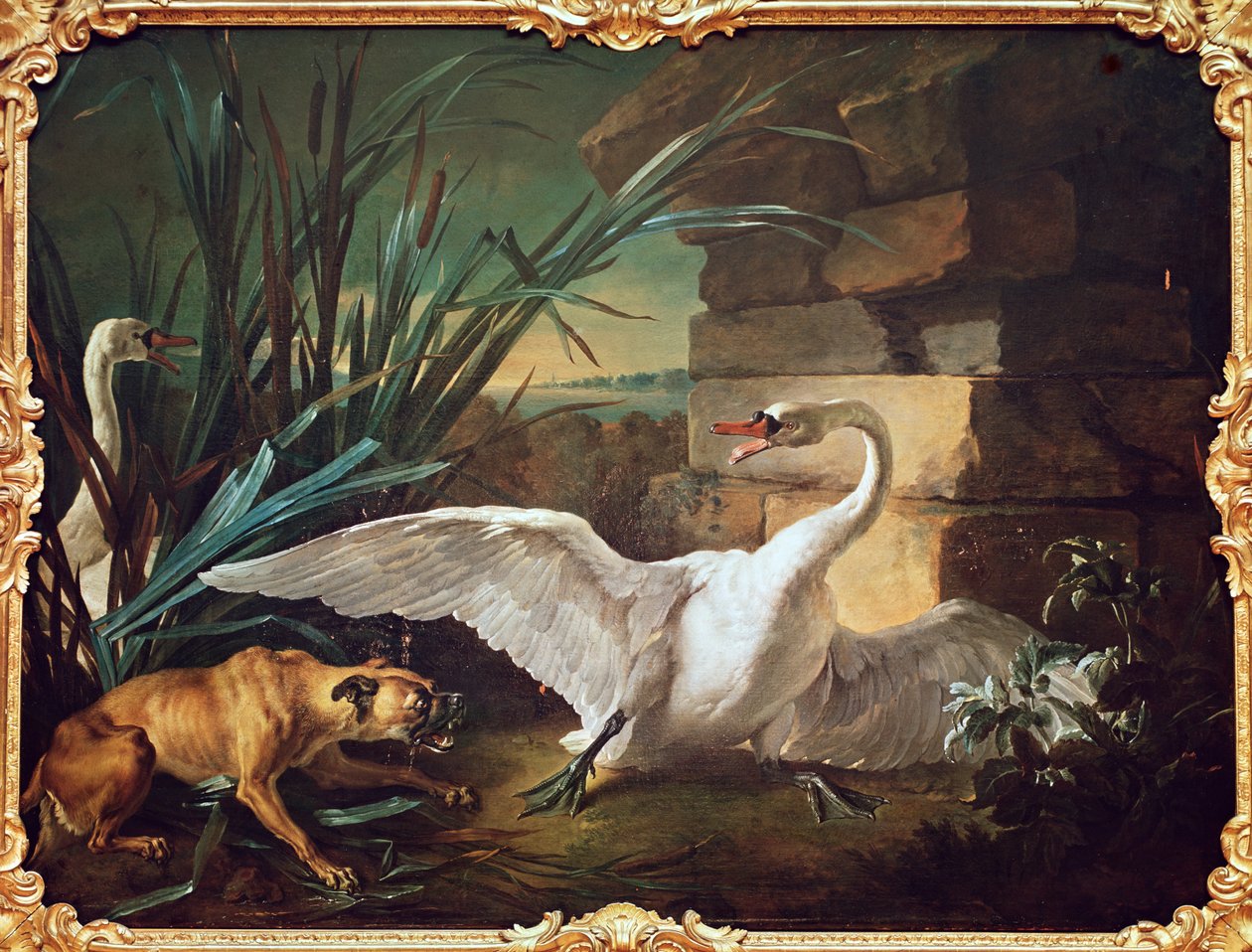 狗和天鹅 作者 让·巴蒂斯特·奥德里（Jean Baptiste Oudry）