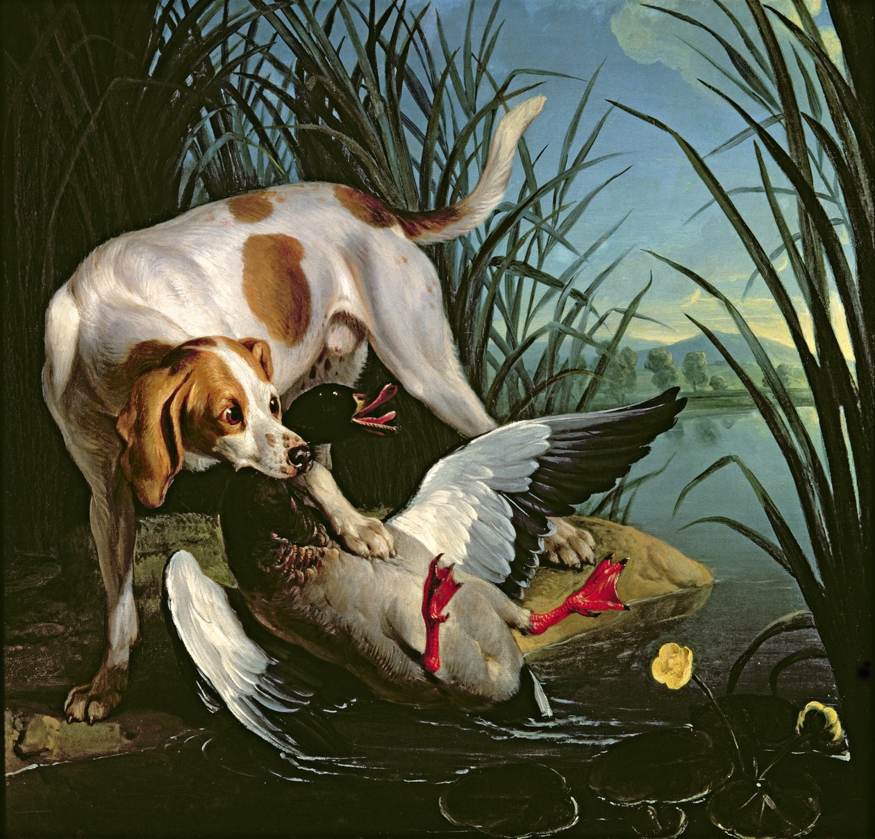 狗与野鸭 作者 让·巴蒂斯特·奥德里（Jean Baptiste Oudry）