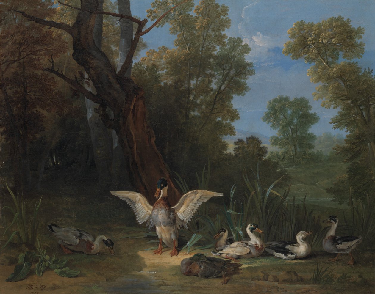 1753年在阳光下休息的鸭子。 作者 让·巴蒂斯特·奥德里（Jean Baptiste Oudry）