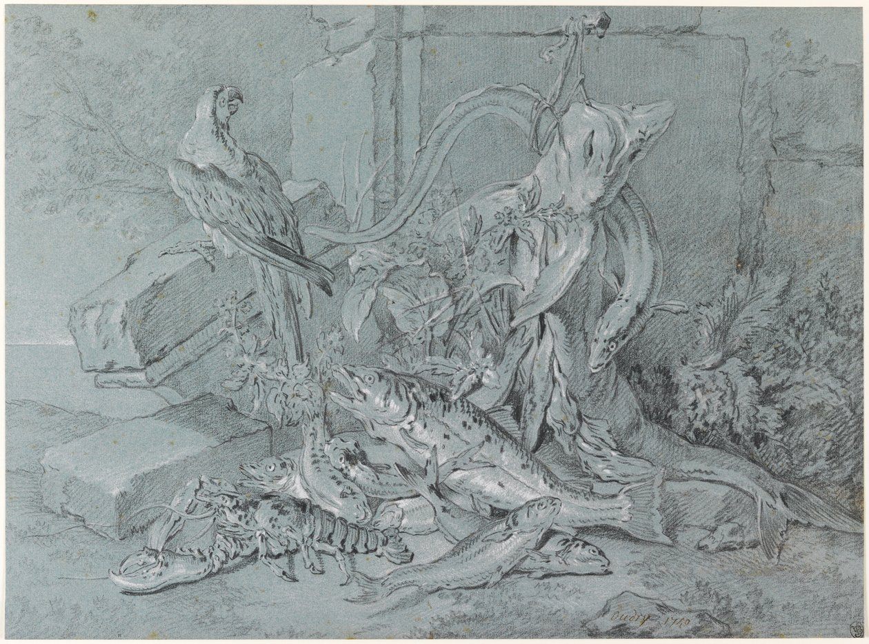 鱼和鹦鹉的静物画 作者 让·巴蒂斯特·奥德里（Jean Baptiste Oudry）
