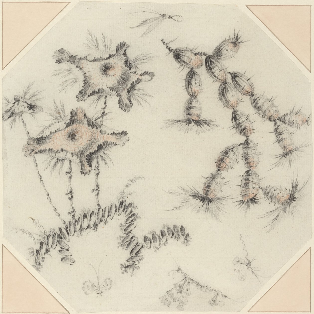  作者 让·巴蒂斯特·皮列曼