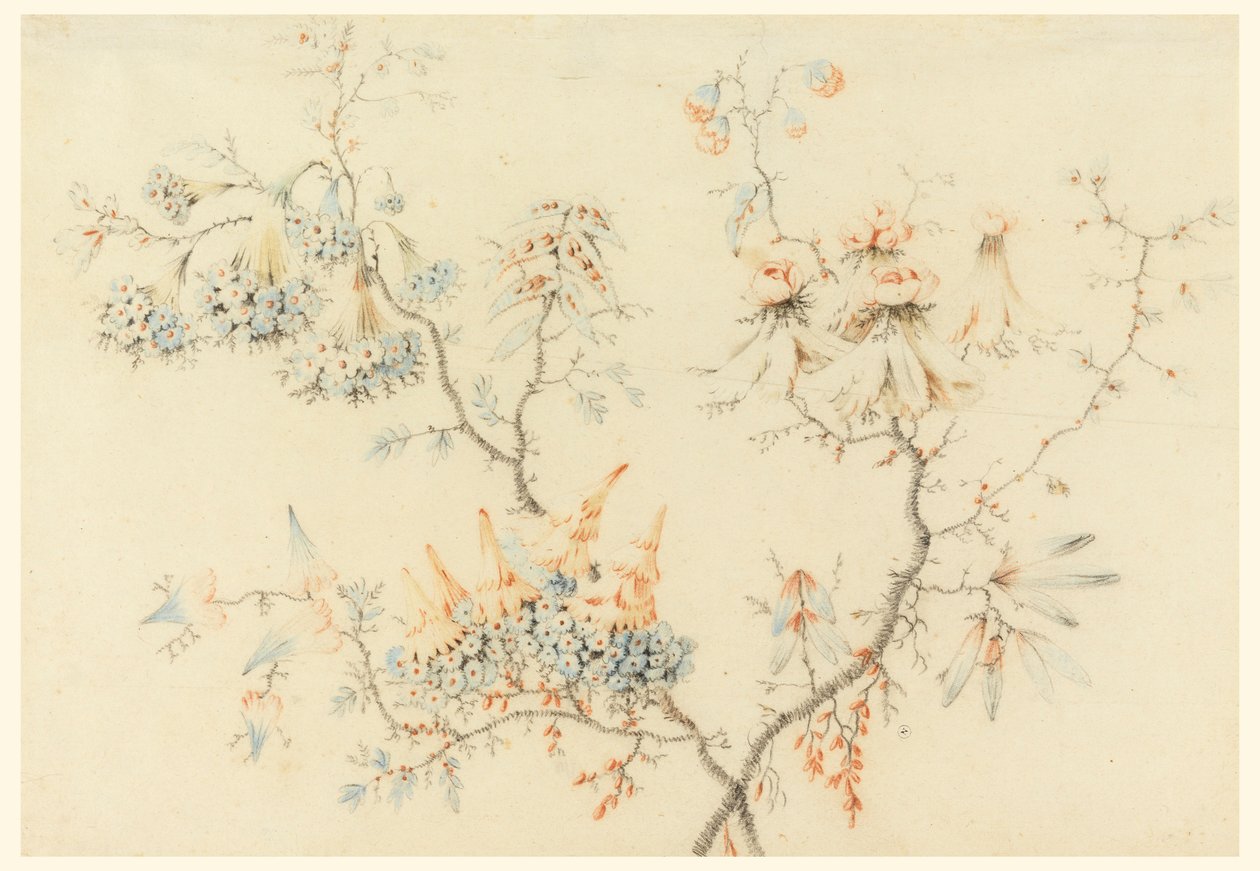 素描，花枝，1775-1800 年 作者 让·巴蒂斯特·皮列曼