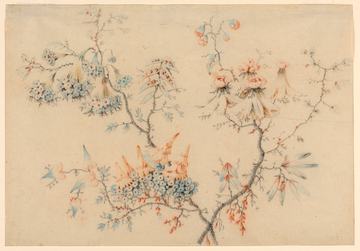素描，花枝，1775-1800 年 作者 让·巴蒂斯特·皮列曼