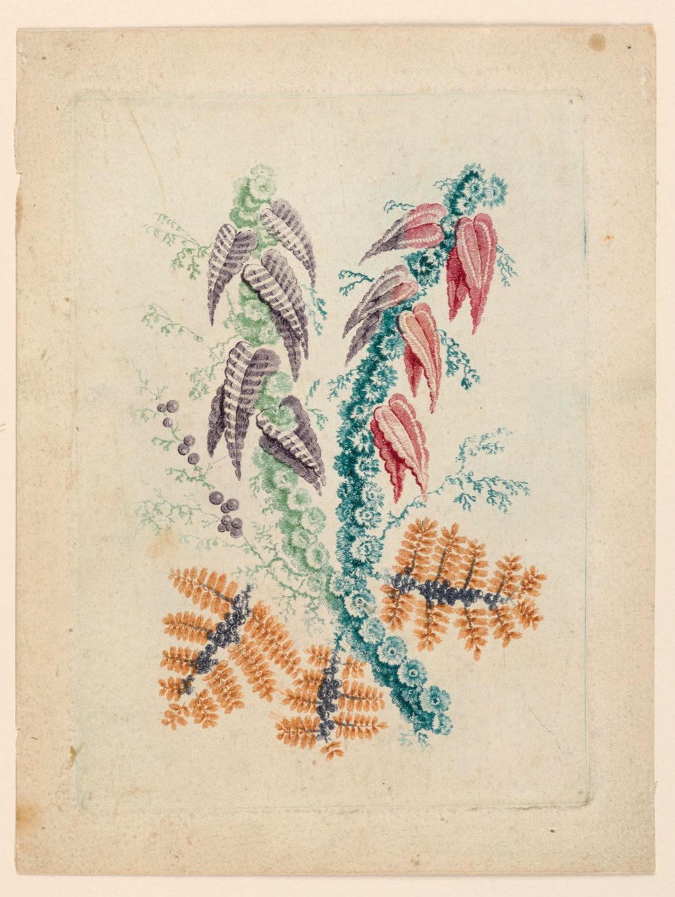 来自 "Nouvelle Suitte de Cahiers de fleurs idéales" 的奇妙花朵图案 作者 让·巴蒂斯特·皮列曼
