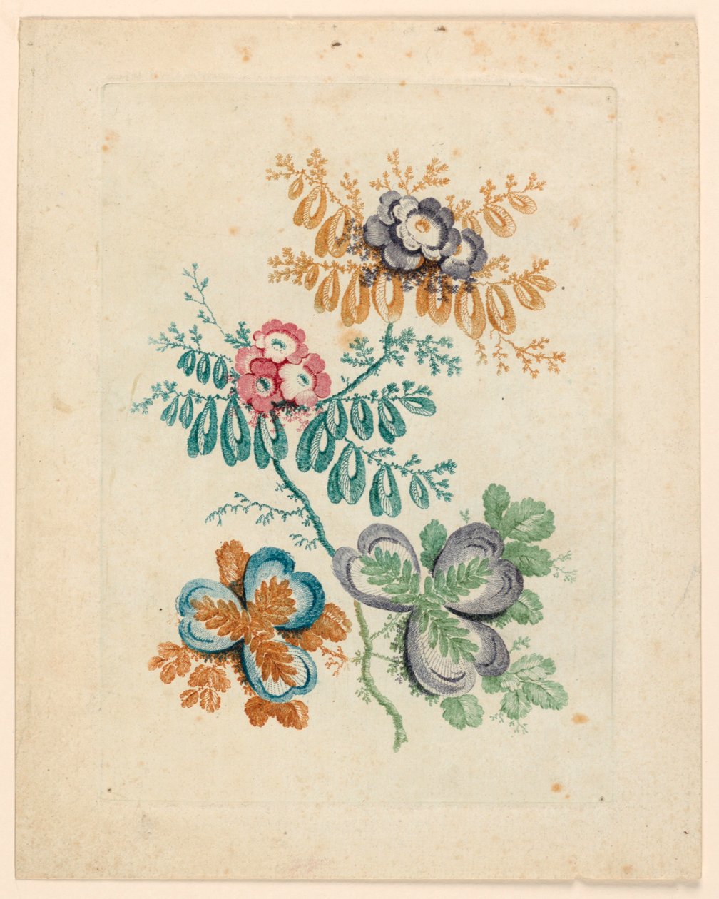 来自 "Nouvelle Suitte de fleurs iéales "的奇妙花朵图案 作者 让·巴蒂斯特·皮列曼