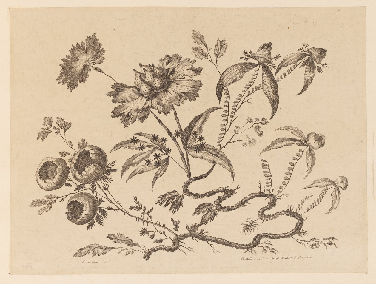花枝，摘自《中国品味的不同花饰集》（Recueil de Differentes Fleurs de Fantaisie Dans le Goût Chinois）。 作者 让·巴蒂斯特·皮列曼