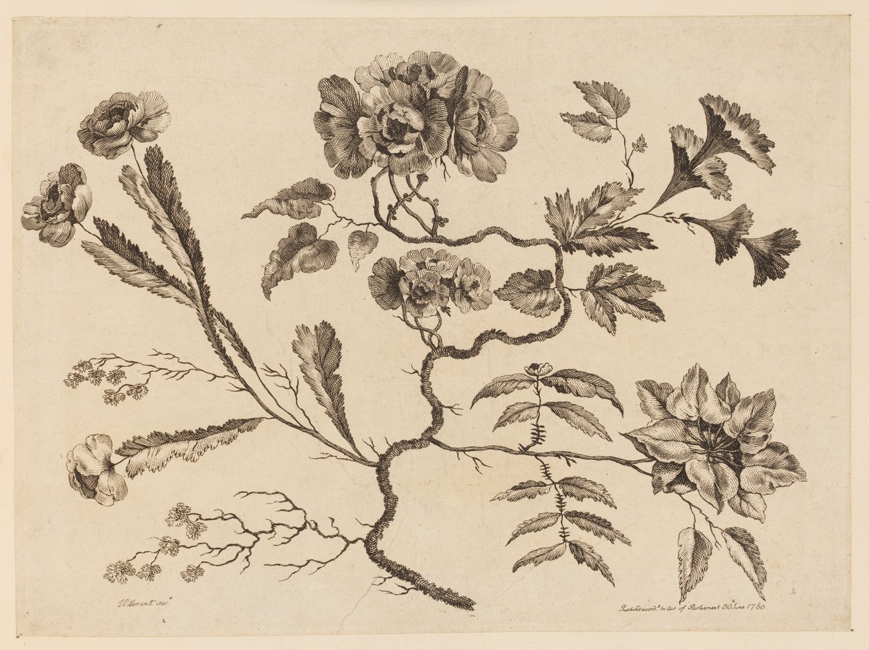 花枝，选自《中国风味不同花卉集 作者 让·巴蒂斯特·皮列曼