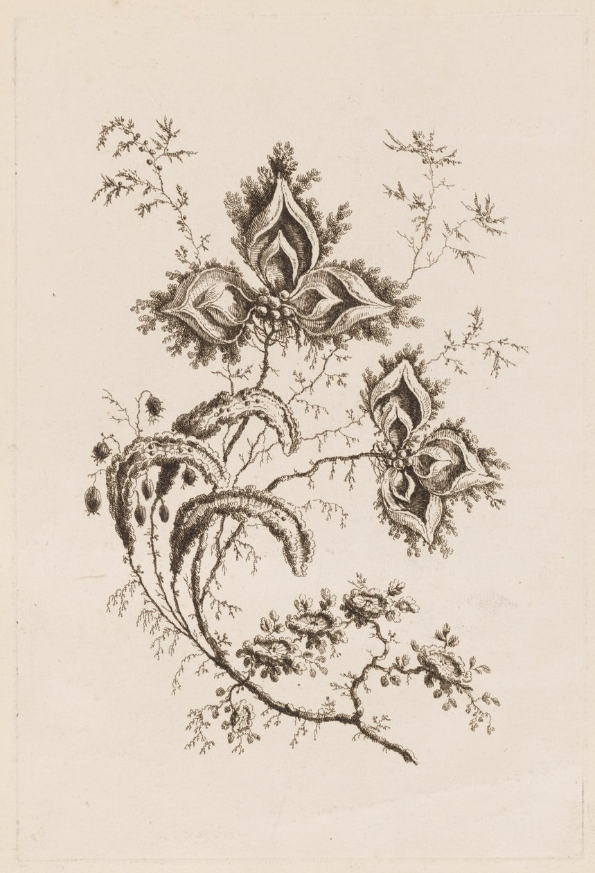 花枝，选自 "Fleures Persannes" 作者 让·巴蒂斯特·皮列曼