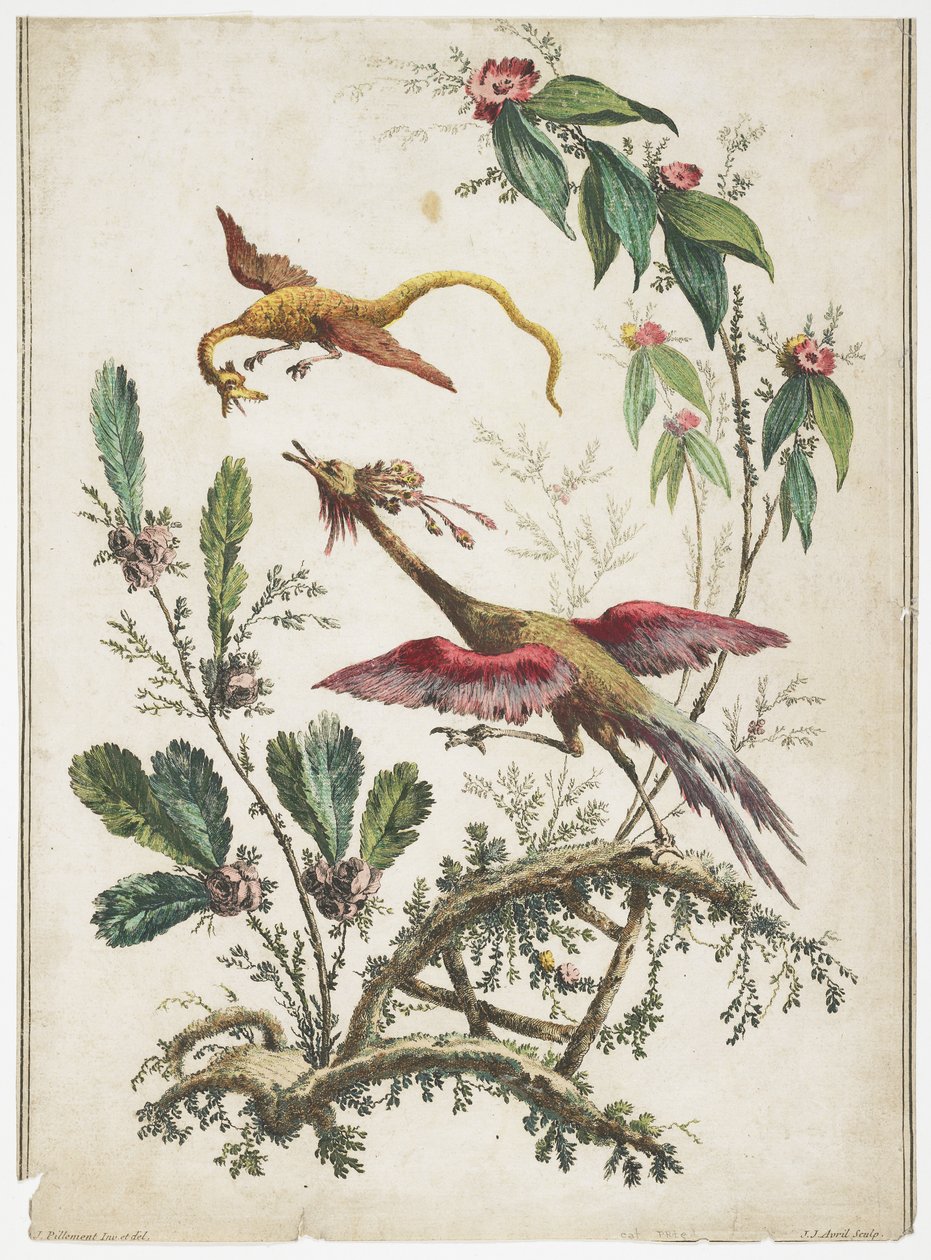 装饰。中国风。花鸟。，1770 作者 让·巴蒂斯特·皮列曼
