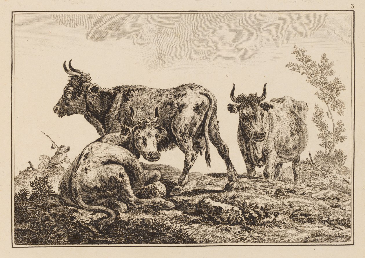 图版 3，选自 "Cahier de Six Feuilles de Boeufs et Vaches"（《六张牛肉和奶牛图集》）。 作者 让·巴蒂斯特·皮列曼
