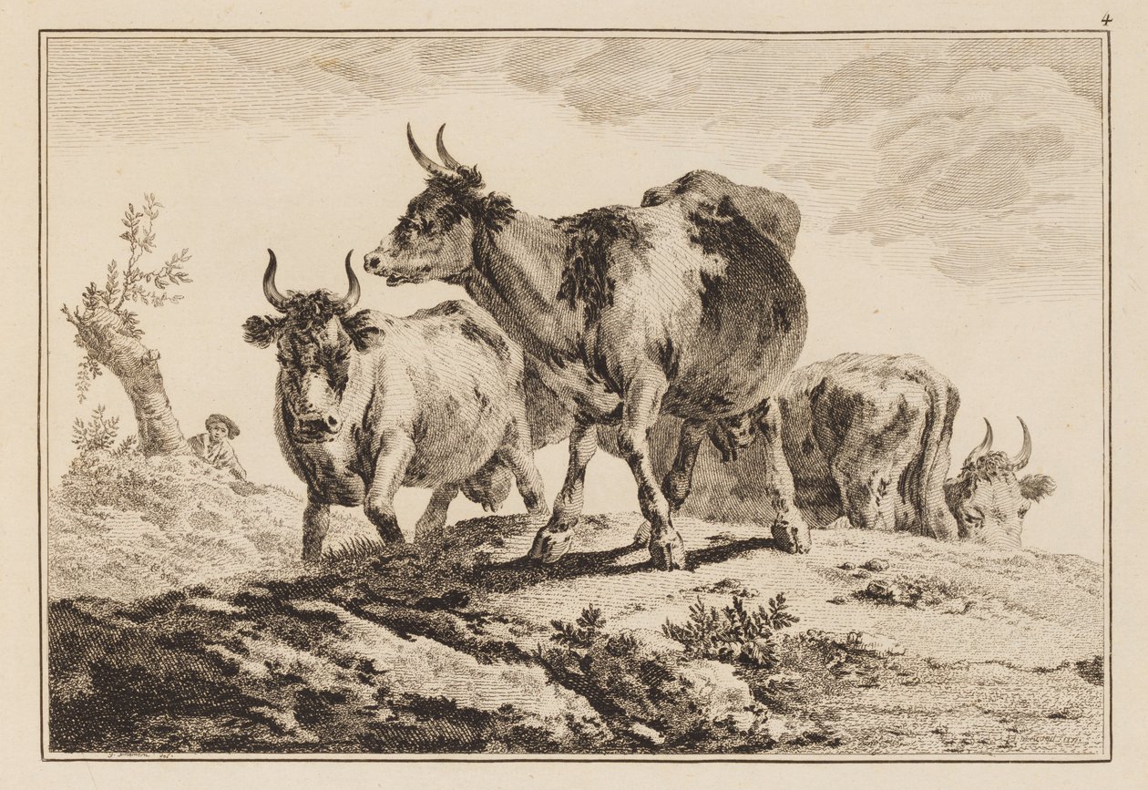 图版 4，选自 "Cahier de Six Feuilles de Boeufs et Vaches"（《六张牛肉和奶牛图集》）。 作者 让·巴蒂斯特·皮列曼