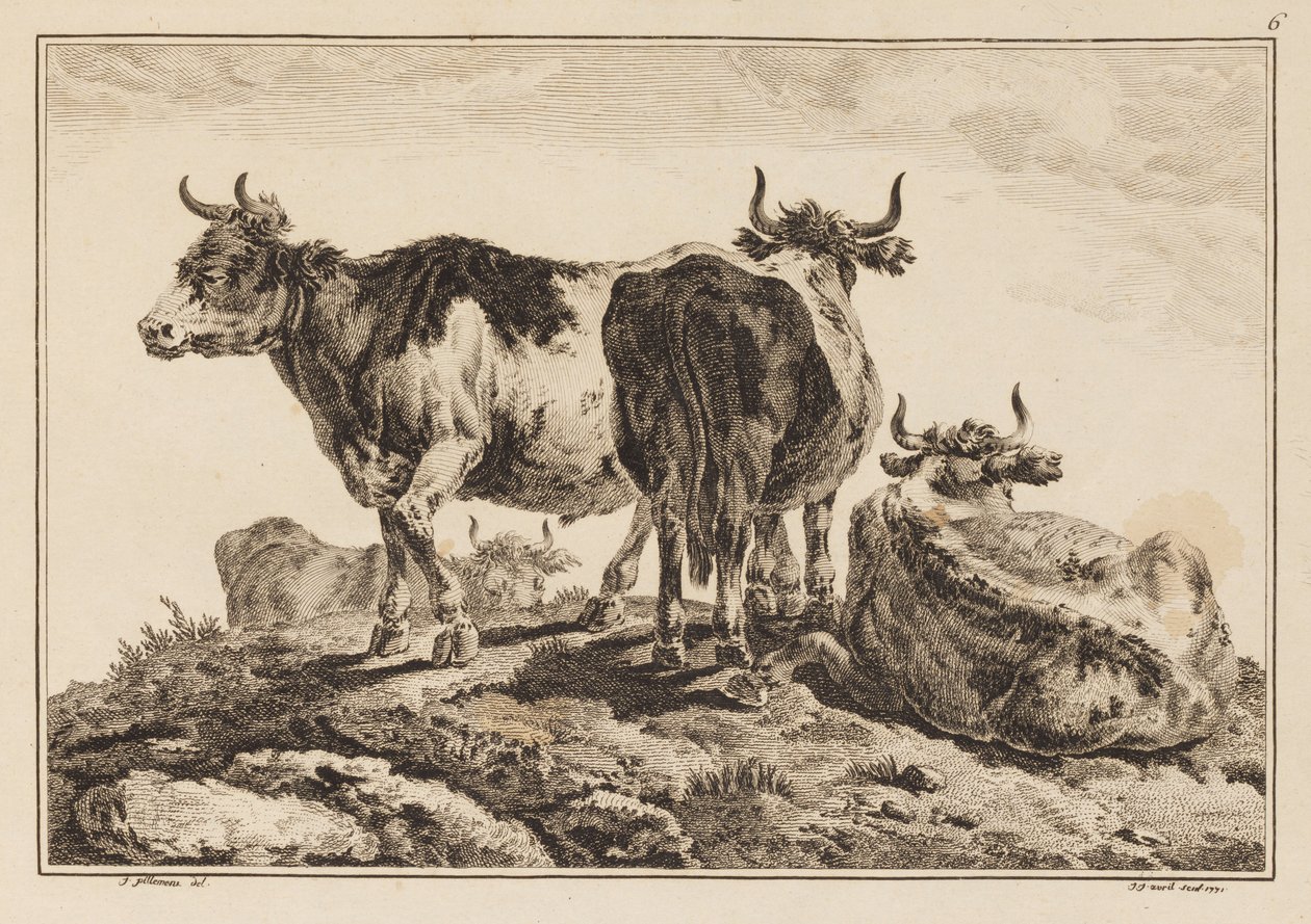 插图 6，选自 "Cahier de Six Feuilles de Boeufs et Vaches"（《六张牛肉和奶牛图集》）。 作者 让·巴蒂斯特·皮列曼
